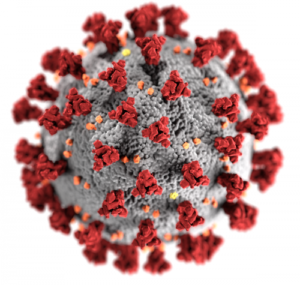 Virus covid-19